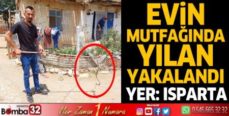 Evin mutfağında yılan yakalandı