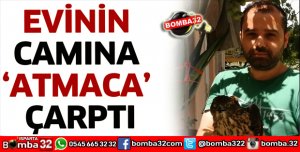 EVİNİN CAMINA ATMACA ÇARPTI
