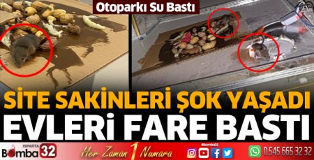 TAŞOĞLU İNŞAATIN YAPTIĞI EVLERİ FARE BASTI DUVARLARDAN SU ÇIKTI 