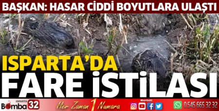 Fare istilası