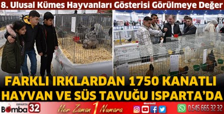Farklı ırklardan 1750 kanatlı hayvan ve süs tavuğu Isparta’da