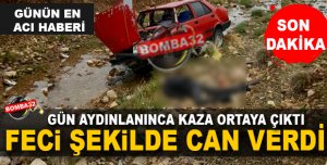 FELE YOLUNDAN  ACI HABER 