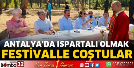 Festivalle coştular