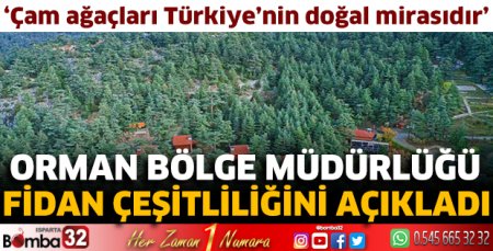 Fidan çeşitliliği açıklandı
