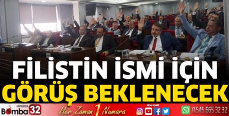 Filistin ismi için görüş beklenecek