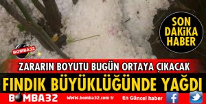 FINDIK BÜYÜKLÜĞÜNDE DOLU YAĞDI