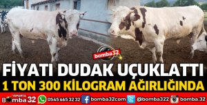 FİYATI DUDAK UÇUKLATIYOR