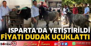 Fiyatı dudak uçuklatıyor