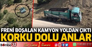 Freni boşalan kamyon yoldan çıktı