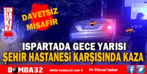 GECE YARISI  DAVETSİZ MİSAFİR BAHÇEYE DALDI 