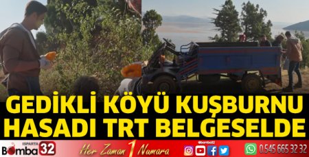 Gedikli Köyü Kuşburnu Hasadı TRT Belgeselde