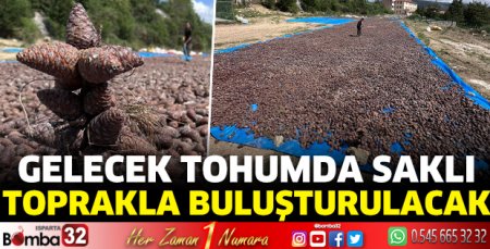 Gelecek tohumda saklı