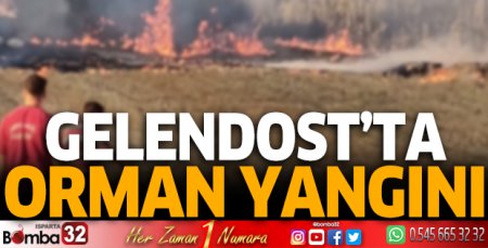 Gelendost’ta orman yangını