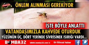 GELENDOST'TA SİVRİSİNEK SORUNU 
