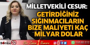 Getirdiğiniz sığınmacıların bize maliyeti kaç milyar dolar