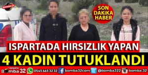 GEZE GEZE  YANKESİCİLİK YAPTILAR