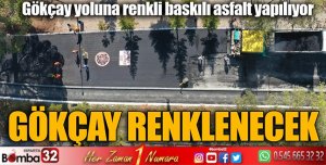 Gökçay yoluna renkli baskılı asfalt yapılıyor