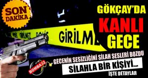 GÖKÇAYDA KANLI  GECE  1  YARALI 
