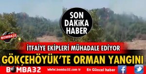 GÖKÇEHÖYÜK'TE ORMAN YANGINI