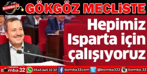 GÖKGÖZ MECLİSTE