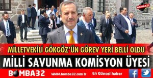 GÖKGÖZ MİLLİ SAVUNMA KOMİSYONUNDA