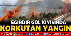 GÖL KIYISINDA KORKUTAN YANGIN