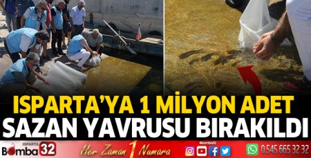 Göl ve göletlere 1 milyon adet sazan yavrusu bırakıldı