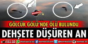 GÖLCÜK GÖLÜNDE ÖLÜ OLARAK BULUNDU