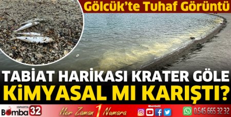 Gölcük’te tuhaf görüntü