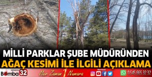 Gölcük'te ağaç kesimleri ile ilgili açıklama