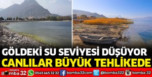 GÖLDEKİ SU SEVİYESİ DÜŞÜYOR, CANLILAR BÜYÜK TEHLİKEDE