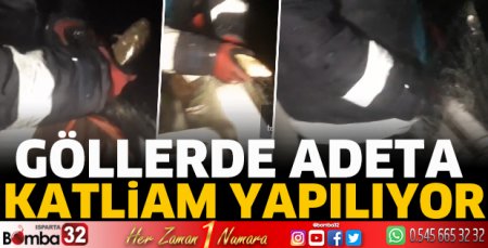Göllerde adeta katliam yapılıyor