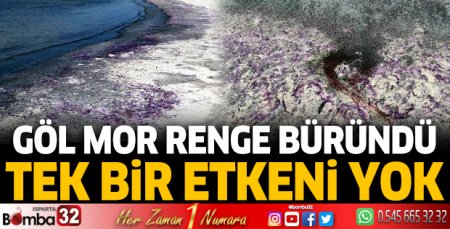 Gölün sahili morardı