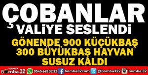 GÖNEN HACIBEY YAYLASINDA HAYVANLAR SUSUZ KALDI