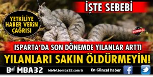 GÖRDÜĞÜNÜZ YILANLARI SAKIN ÖLDÜRMEYİN