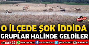 GÖRENLER GÖZLERİNE İNANAMADI
