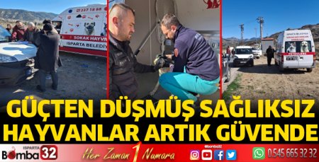 Güçten düşmüş sağlıksız hayvanlar artık güvende