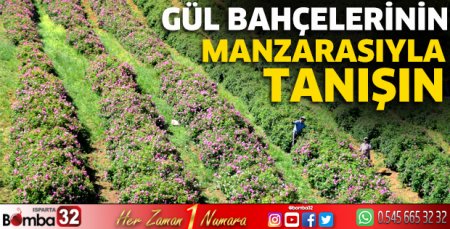 Gül bahçelerinin manzarasıyla tanışın