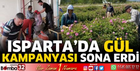 Gül kampanyası sona erdi 