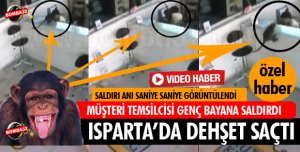 GÜL PETEK SANAYİDE MAYMUN DEHŞETİ!