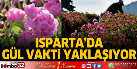 Gül vakti geliyor