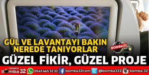 GÜL VE LAVANTA TANITIMI İÇİN BÜYÜK PROJE
