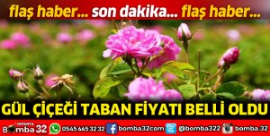 GÜLÇİÇEĞİ TABAN FİYATI BELLİ OLDU