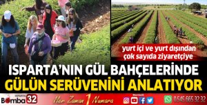Gülün serüveni Isparta’da ziyaretçilere anlatılıyor