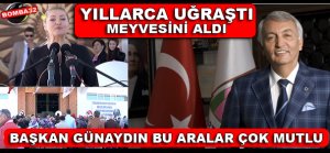 GÜNAYDIN EL EMEĞİ GÖZ NURUNUN MEYVELERİNİ TOPLUYOR...