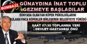 GÜNAYDIN HALA NE BEKLİYOR?