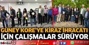 Güney Kore’ye kiraz ihracatı için çalışmalar sürüyor