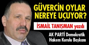 GÜVERCİN OYLAR NEREYE UÇUYOR ?