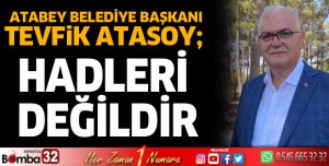 Hadleri değildir