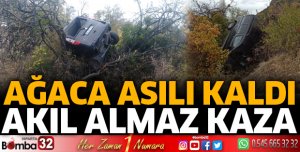 Hafif ticari araç ağaçta asılı kaldı
